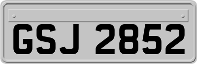 GSJ2852