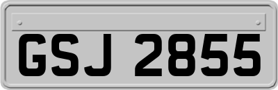 GSJ2855