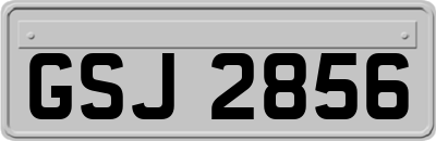 GSJ2856
