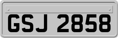 GSJ2858