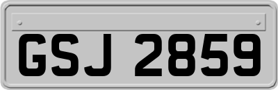 GSJ2859