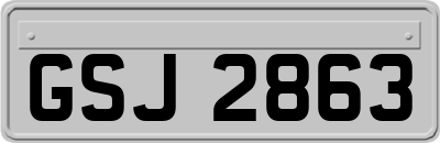 GSJ2863