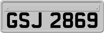 GSJ2869