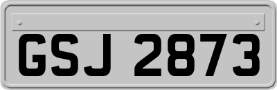 GSJ2873