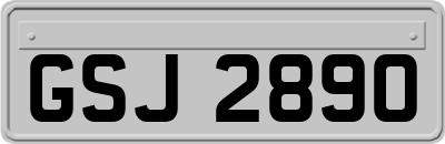 GSJ2890
