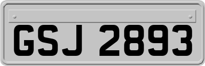 GSJ2893
