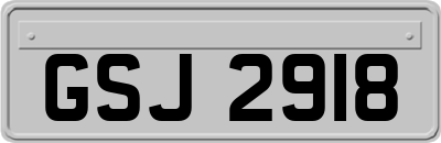 GSJ2918
