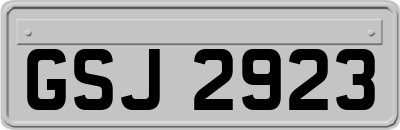 GSJ2923