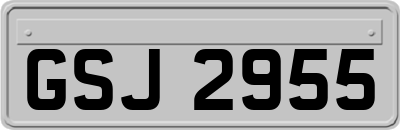 GSJ2955