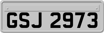 GSJ2973