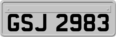 GSJ2983