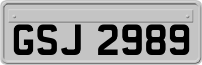 GSJ2989