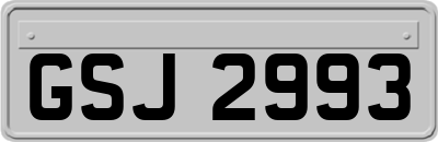 GSJ2993