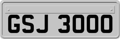 GSJ3000