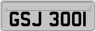 GSJ3001