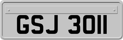 GSJ3011