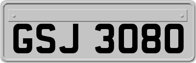 GSJ3080