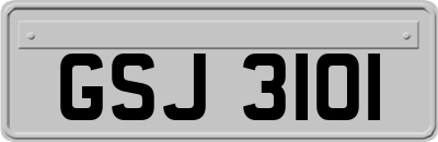GSJ3101