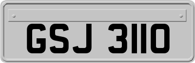 GSJ3110