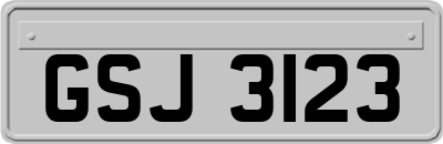 GSJ3123