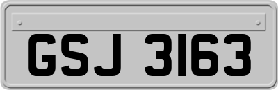 GSJ3163