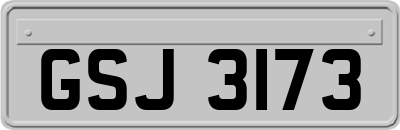 GSJ3173