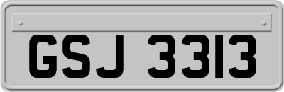 GSJ3313