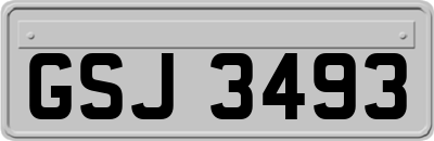 GSJ3493