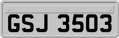 GSJ3503