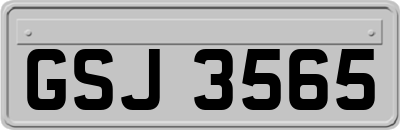 GSJ3565