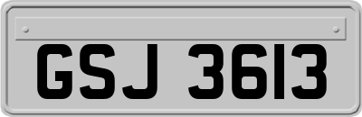 GSJ3613