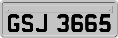 GSJ3665