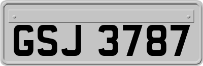 GSJ3787