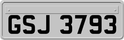 GSJ3793