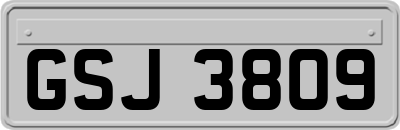 GSJ3809