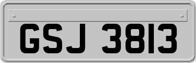 GSJ3813