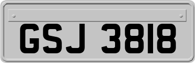 GSJ3818