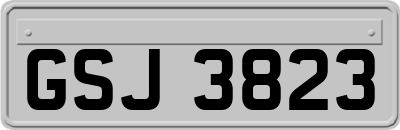 GSJ3823