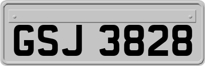 GSJ3828