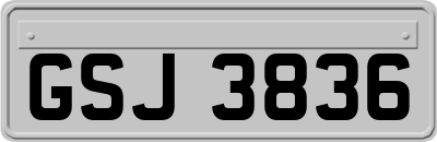 GSJ3836