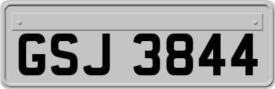 GSJ3844