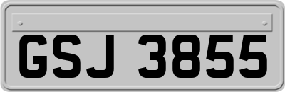 GSJ3855