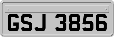 GSJ3856