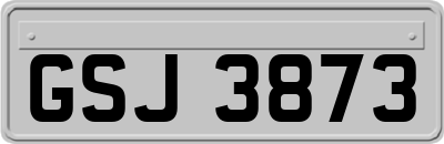 GSJ3873