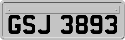 GSJ3893