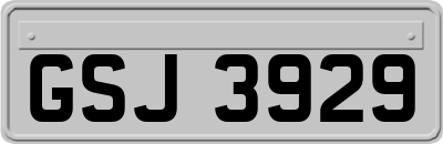 GSJ3929