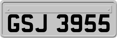 GSJ3955