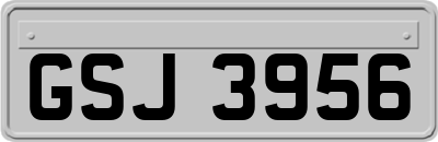 GSJ3956