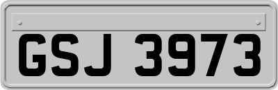 GSJ3973