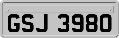 GSJ3980